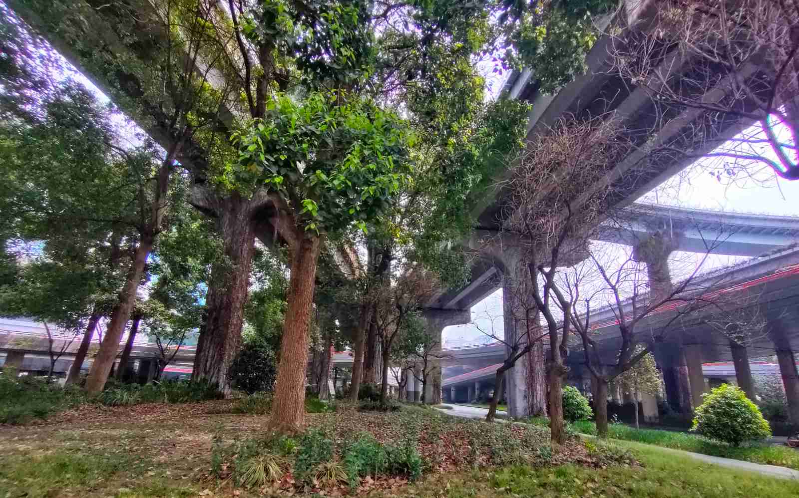 成都高架.jpg