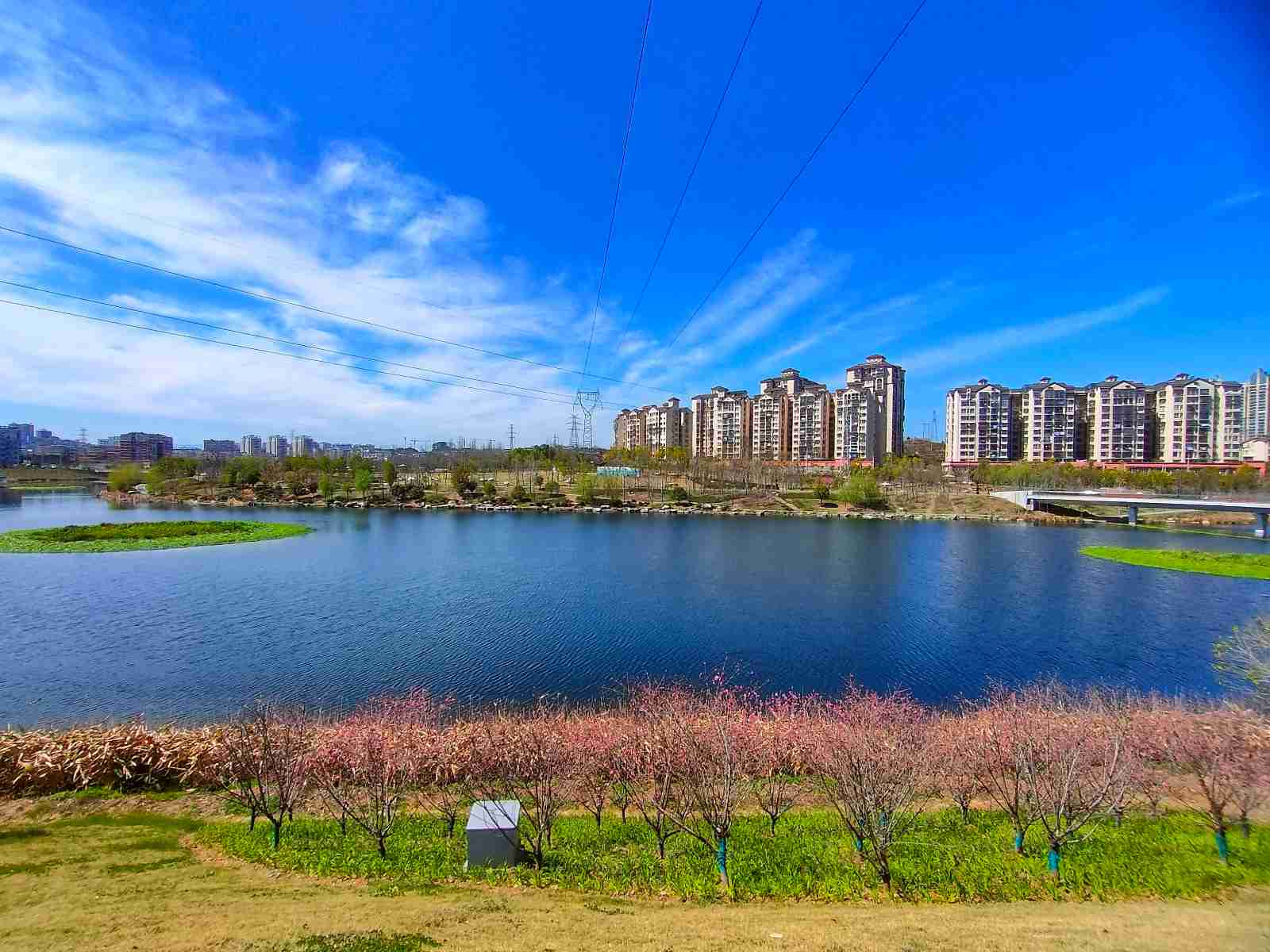 沙河公园.jpg